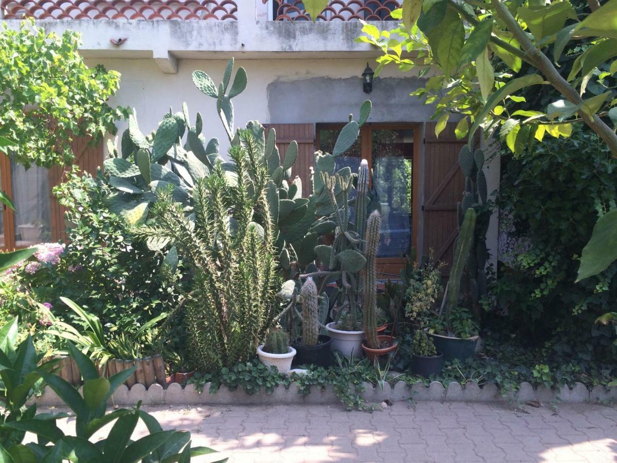 Haras Des Arcades Villa Perpignan Exterior photo