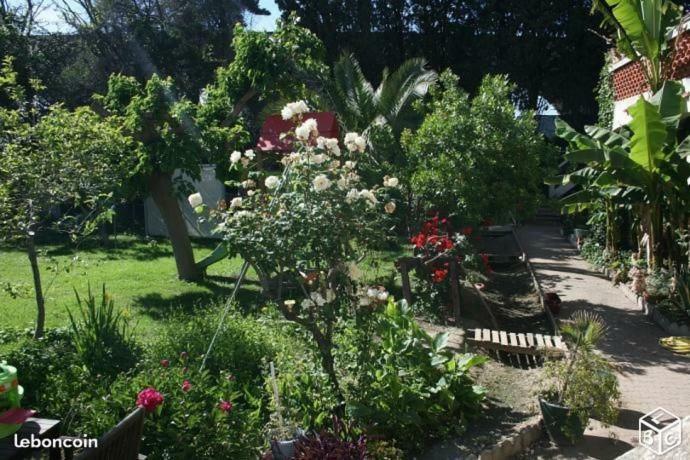 Haras Des Arcades Villa Perpignan Exterior photo